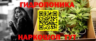 2c-b Будённовск