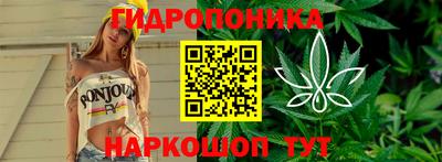 2c-b Будённовск