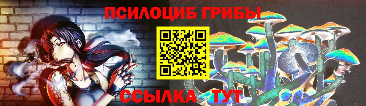 Галлюциногенные грибы Psilocybine cubensis Магнитогорск